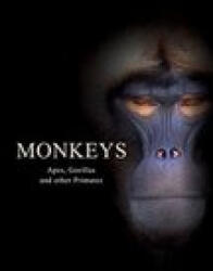 Monkeys - Tom Jackson (ISBN: 9781838861001)