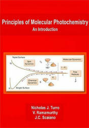 Principles of Molecular Photochemistry: An Introduction - Nicholas J. Turro, J. Scaiano, V. Ramamurthy (ISBN: 9781891389573)