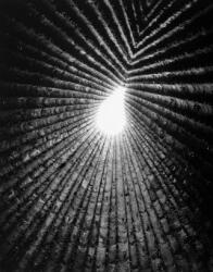 Light Lines - HELENE BINET/PALLASM (ISBN: 9781912520855)