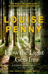 How The Light Gets In (ISBN: 9781529386363)