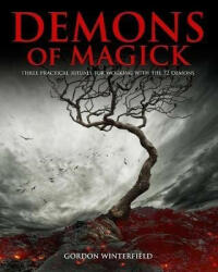 Demons of Magick - GORDON WINTERFIELD (ISBN: 9781521372401)