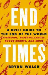 End Times - Bryan Walsh (ISBN: 9781841884042)