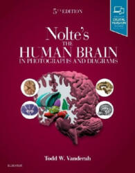 Nolte's The Human Brain in Photographs and Diagrams - Todd Vanderah (ISBN: 9780323598163)