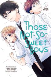 Those Not-So-Sweet Boys 3 (ISBN: 9781646511983)