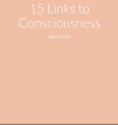 15 Links to Consciousness: Nobody Cares (ISBN: 9781716662126)