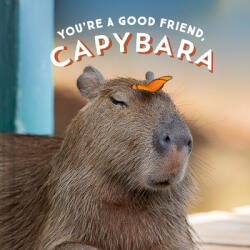 You're a Good Friend, Capybara (2021)