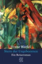 Stern der Ungeborenen - Franz Werfel (ISBN: 9783596294619)