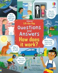 Lift-the-Flap Questions & Answers How Does it Work? (ISBN: 9781474989886)