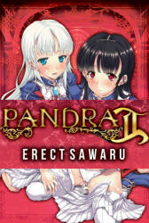 PANDRA II - Erect Sawaru (ISBN: 9781634422956)