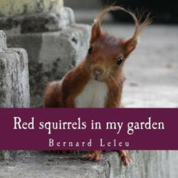 Red squirrels in my garden - Bernard Leleu (2017)