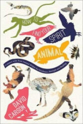 How to Find Your Spirit Animal - David Carson (ISBN: 9781780288178)
