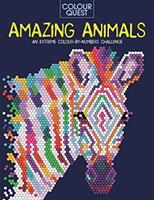 Colour Quest (R): Amazing Animals - Lauren Farnsworth (ISBN: 9781789292855)