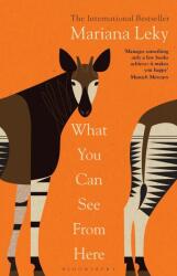 What You Can See From Here (ISBN: 9781526638540)