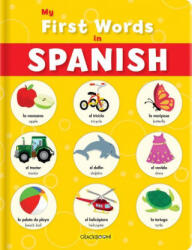My First Words in Spanish - Karina Dupuis (ISBN: 9782898022951)