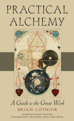 Practical Alchemy - James Wasserman, Robert Allen Bartlett (ISBN: 9781578637478)