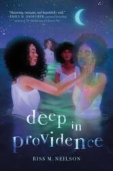 Deep in Providence (ISBN: 9781250788528)
