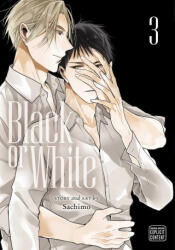 Black or White Vol. 3 (ISBN: 9781974725403)