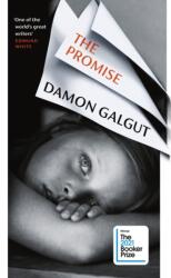Promise - Damon Galgut (ISBN: 9781784744076)