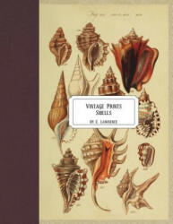 Vintage Prints: Shells - E. Lawrence (ISBN: 9781721949328)