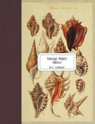 Vintage Prints: Shells - E. Lawrence (ISBN: 9781721949328)