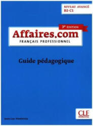 affaires. com. Guide pédagogique - Jean-Luc Penfornis (ISBN: 9783125294578)