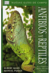 Anfibios y reptiles de la Península Ibérica, Baleares y Canarias - Albert Masó Planas, Manuel Pijoan Rotger (ISBN: 9788428213684)
