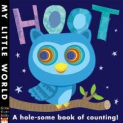 Hoot - A hole-some book of counting (ISBN: 9781848958135)