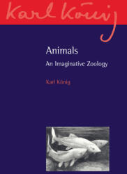 Animals: An Imaginative Zoology (ISBN: 9780863159664)