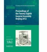 Proceedings of the Twenty-Eighth General Assembly Beijing 2012: Transactions of the International Astronomical Union XXVIIIB - Thierry Montmerle (ISBN: 9781107078833)