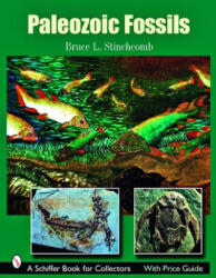 Paleozoic Fsils Firm - Bruce L. Stinchcomb (ISBN: 9780764329173)