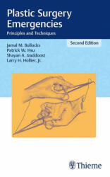 Plastic Surgery Emergencies - Jamal M. Bullocks, Patrick W. Hsu, Shayan A. Izaddoost, Larry H. Hollier, Samuel Stal (ISBN: 9781626231153)