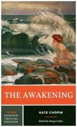 Awakening (ISBN: 9780393617313)