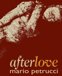 afterlove - Mario Petrucci (ISBN: 9781788640954)