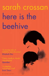Here is the Beehive - Shortlisted for Popular Fiction Book of the Year in the AN Post Irish Book Awards (ISBN: 9781526619525)