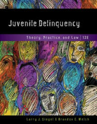 Juvenile Delinquency - Larry J Siegel, Welsh, Professor Brandon C (College of Criminal Justice, Northeastern University Northeastern University Northeastern University North (ISBN: 9781337091831)