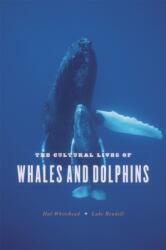 Cultural Lives of Whales and Dolphins (ISBN: 9780226325927)