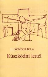 Küszködni lettél (ISBN: 9789634350958)