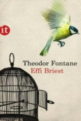 Effi Briest - Theodor Fontane (ISBN: 9783458357261)