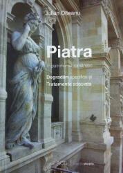 Piatra in patrimoniul romanesc Degradari specifice si tratamente adecvate - Iulian Olteanu (ISBN: 9786069358382)