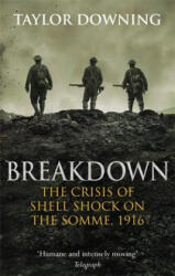 Breakdown - Taylor Downing (ISBN: 9780349141015)