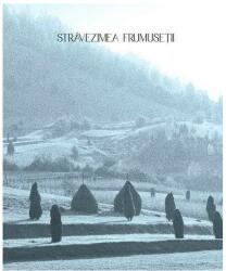Stravezimea frumusetii - Paul Gherasim, Marius Pandele (ISBN: 9786068112381)