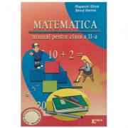 Matematica. Manual pentru clasa a II-a - Silvia Rupacici (ISBN: 9789738164093)