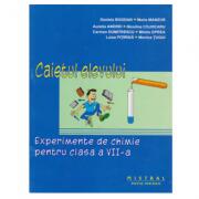 Experimente de chimie pentru clasa a 7-a Caietul elevului - Dan Bogdan (ISBN: 9789738629158)