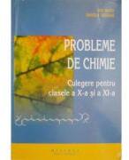 Chimie. Culegere de probleme pentru clasele a 10-a si a 11-a - Ion Baciu (ISBN: 9789738841864)