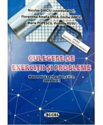 Culegere de Matematica pentru clasa a 6-a, semestrul 1, exercitii si probleme - Nicolae Ghiciu (ISBN: 9786067273205)