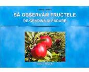 Sa observam fructele de gradina si padure. Mapa cu planse - Luminita Mihoc (ISBN: 9786066300001)