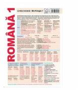 Plansa Romana 1. Limba romana: Morfologia 1 (ISBN: 9786065908277)