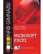 Microsoft Excel - gimnaziu (ISBN: 9789733020066)