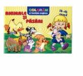 Coloram si invatam engleza Animale si pasari (ISBN: 9789737068415)