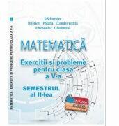 Matematica. Exercitii si probleme clasa a 5-a Semestrul al 2-lea - Delia Schneider (ISBN: 9786060540137)